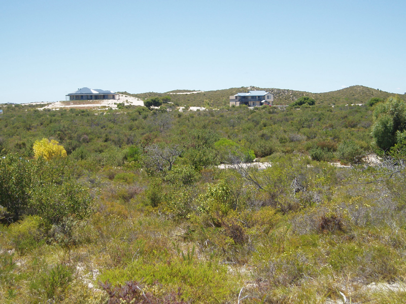 SEA CHANGE!! Picture 2