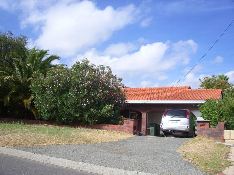 Little Gem! Picture Little Gem! Picture