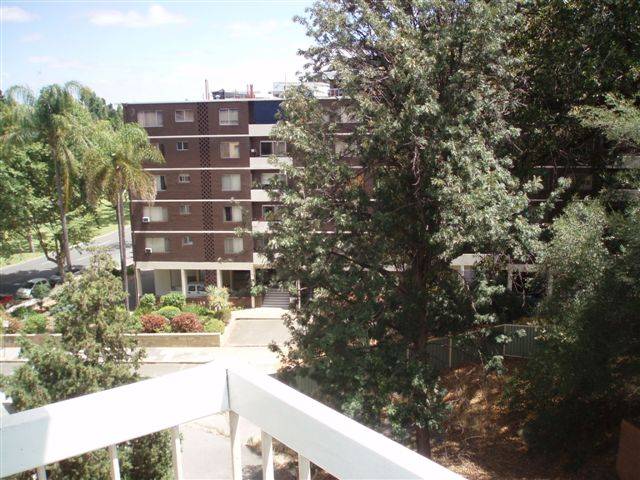 Going Going.... Picture 2