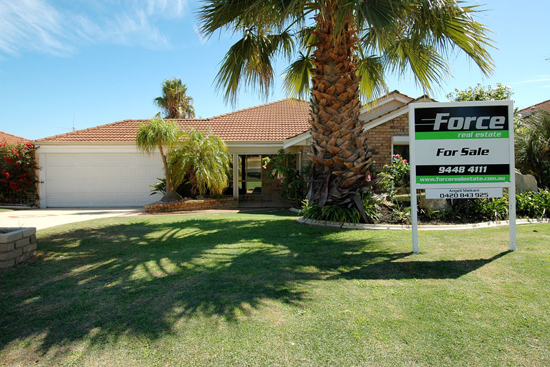 NEST OR INVEST Picture 1