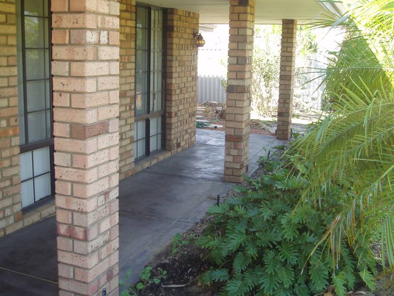 Too good to miss! Picture 1