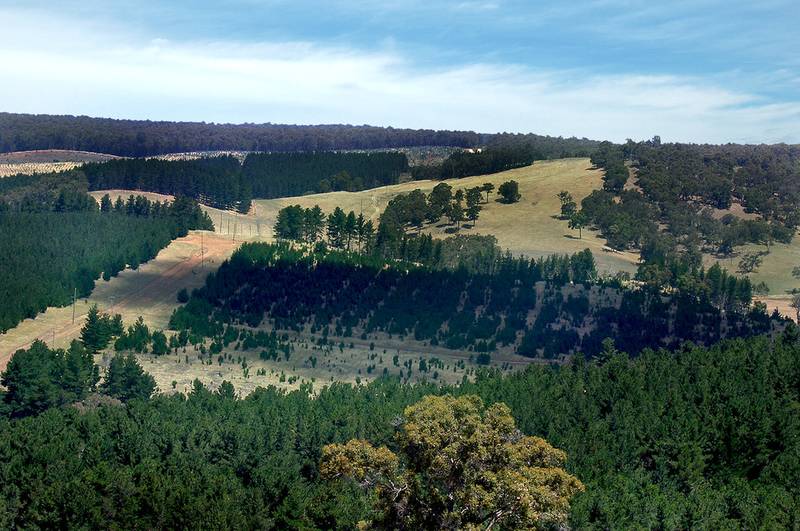 Cheapest Block in Bridgetown Gardens! Picture 2