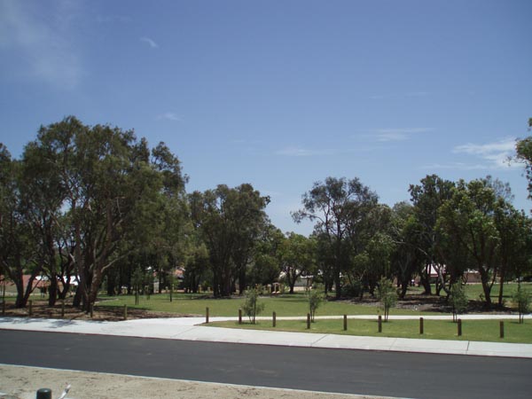 DREAMS START HERE! Picture 2