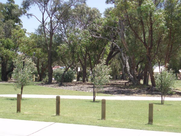 DREAMS START HERE! Picture 3