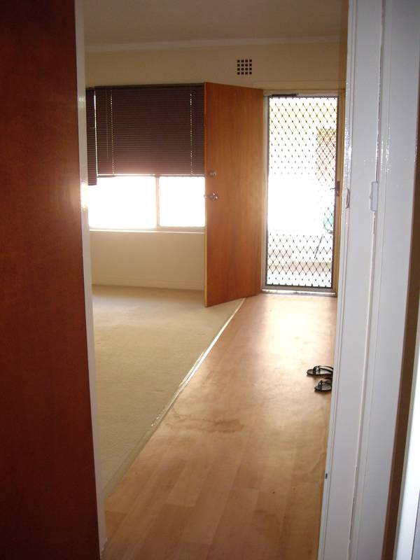 Hidden Treasure Picture 3