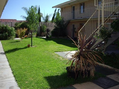 Hidden Treasure Picture