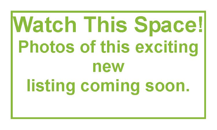 New Listing - Hot To Trot
UNDER OFFER Picture 1