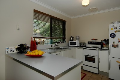 LITTLE RIPPER!! Picture LITTLE RIPPER!! Picture