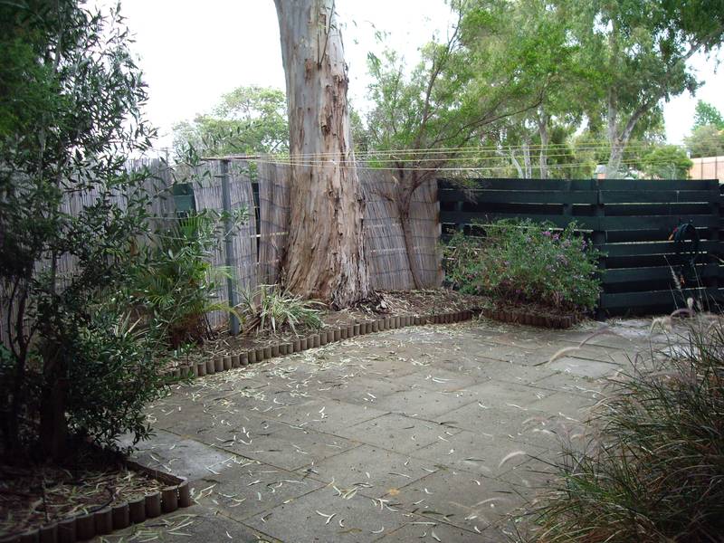 WANT LOCATION??? Picture 1