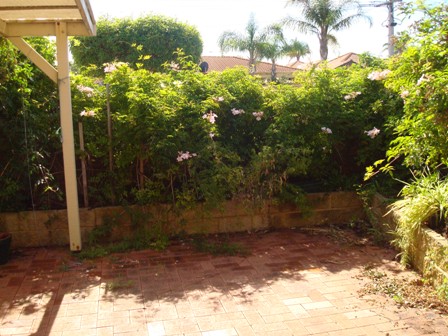 Easy Care, Easy Living Picture 3