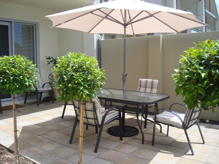 Stunning... Breathtaking.... Picture