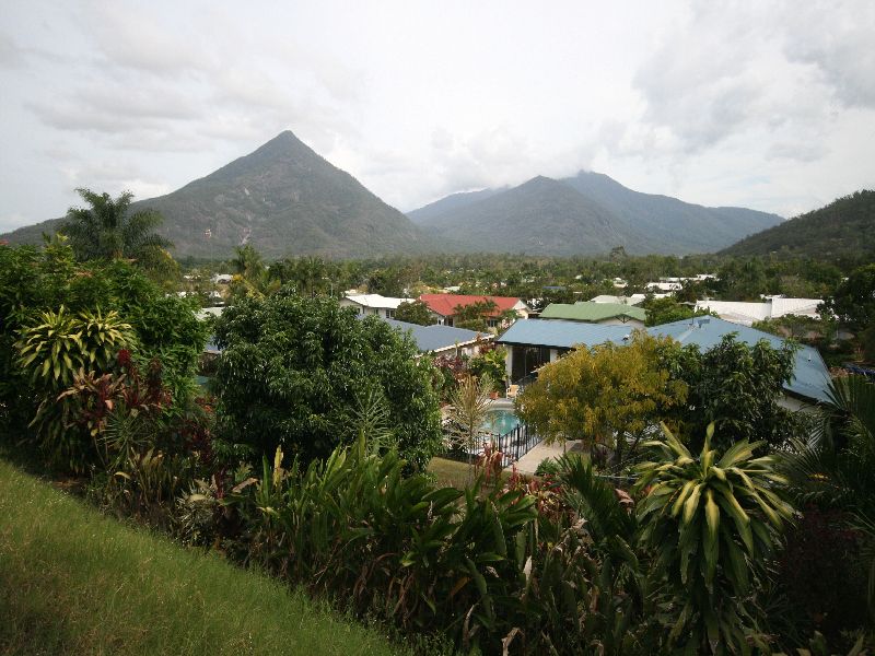 WHAT A BEAUTY! Picture