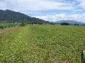 JUST 45 MIN. SOUTH OF CAIRNS, 38 ACRES FOR $350,000 Picture