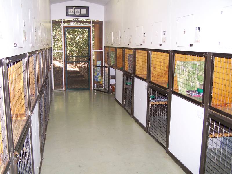 IMMACULATE POLE HOME on over 8,000 SQM...VIEWS OF THE CORAL SEA !!!!! Picture 3