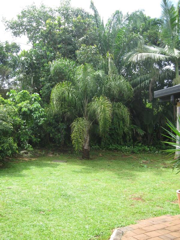 Bentley Park Picture 2