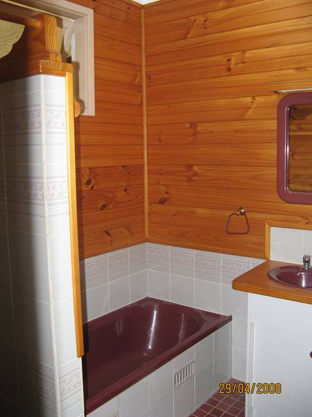 NEW CARPET Picture 2