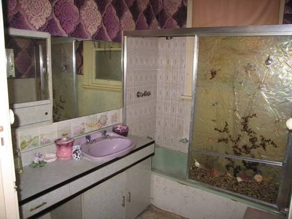 DEVELOPMENT SITE Picture 2