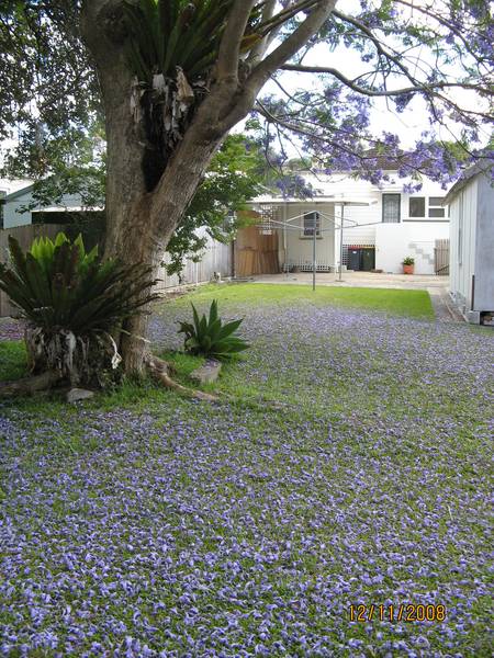 OPEN FOR INSPECTION Monday 17th November 4.00-4.05pm Picture OPEN FOR INSPECTION Monday 17th November 4.00-4.05pm Picture