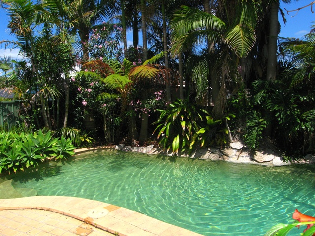 FRESH TO THE MARKET Picture