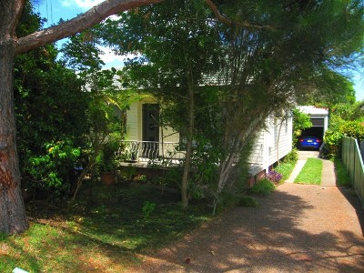 FRESH TO THE MARKET Picture