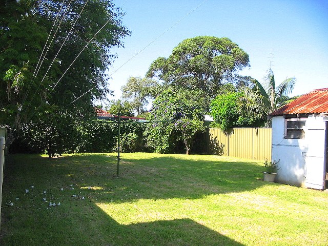 A GREAT PLACE TO START OUT Picture 2