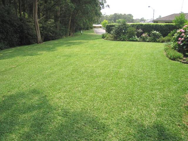 TRANQUIL SURROUNDINGS Picture 2