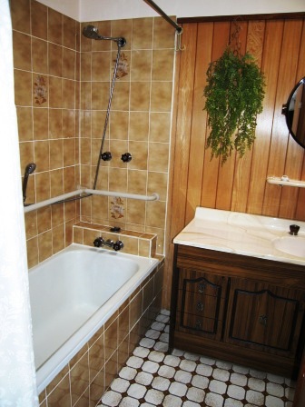 EXCELLENT FIRST HOME Picture 3