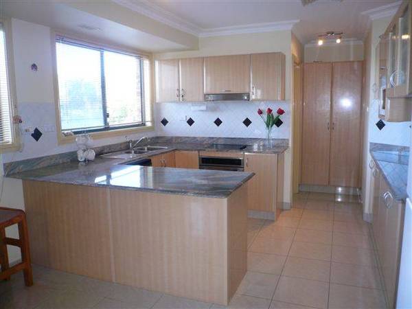 LIFESTYLE PLUS Picture