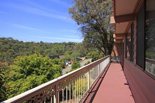 Leafy Outlook Picture