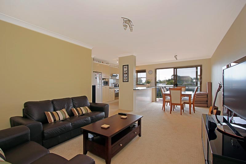 The Best of The Bunch Picture 1