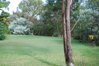 Over 1,050sqm of Vacant Land Picture