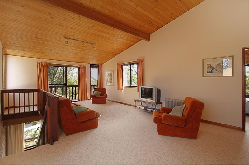 Spacious Light Filled Family Home Picture 2