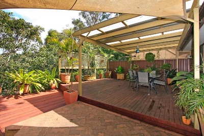 Entertainers Delight Picture