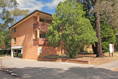 New Paint & Carpet - Best Value 2 Bedroom Unit in Sutherland Picture