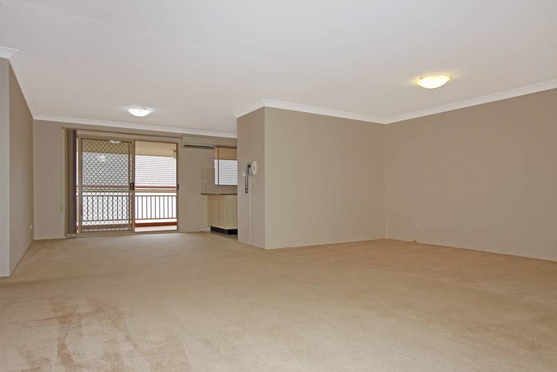 You Won't Find Better Picture 3