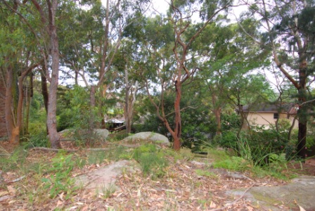 Vacant Land in Sought After Location Picture 3