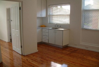 Fully Renovated Ground Floor Unit Picture