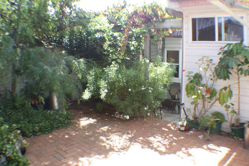 Use You Immagination Picture 3