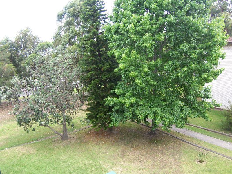 Step into a dream! Picture 2