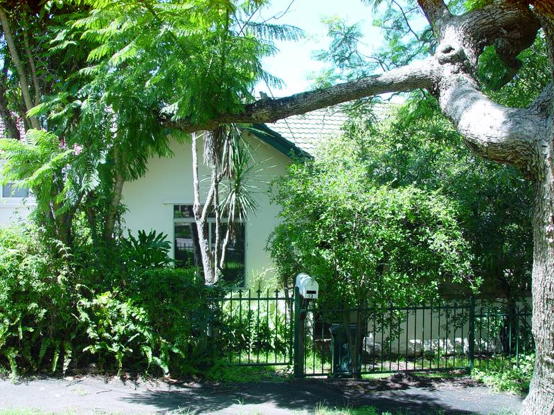 Great Looker Picture 1