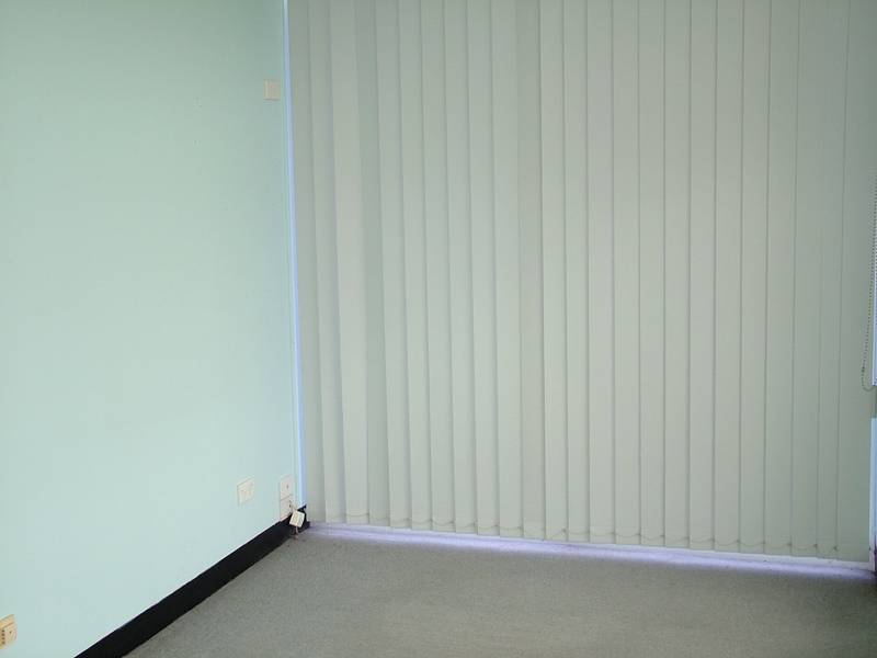 PROFESSIONAL SUITE Picture 3