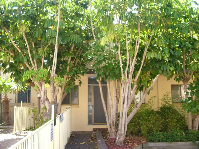 BEACH A DUNE AWAY Picture 1