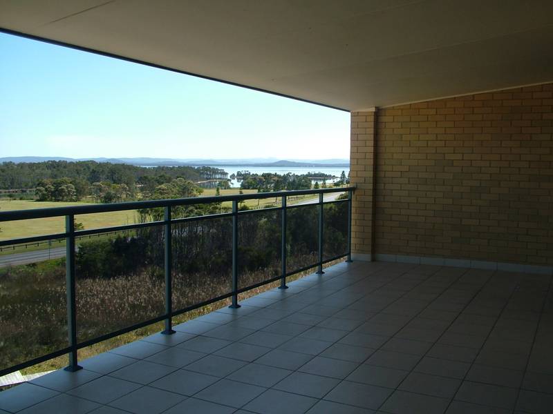 SPOT THE WHALES Picture 1