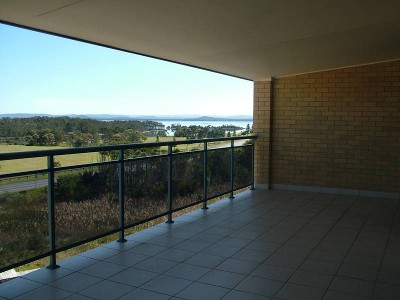 SPOT THE WHALES Picture