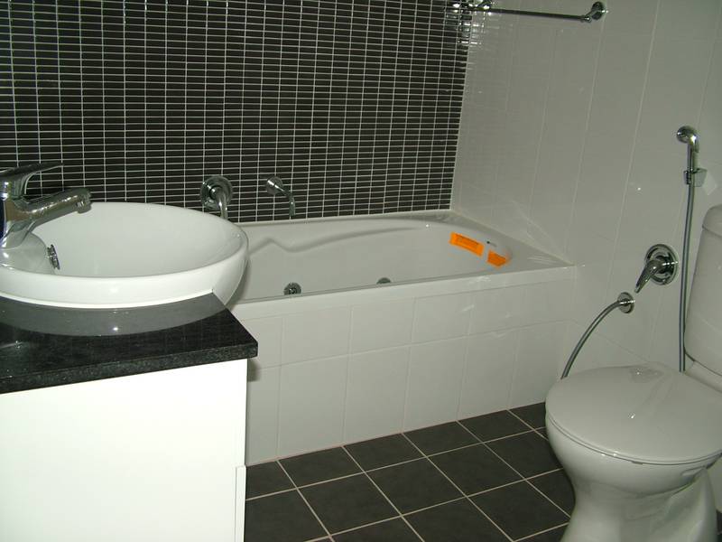 SPOT THE WHALES Picture 3