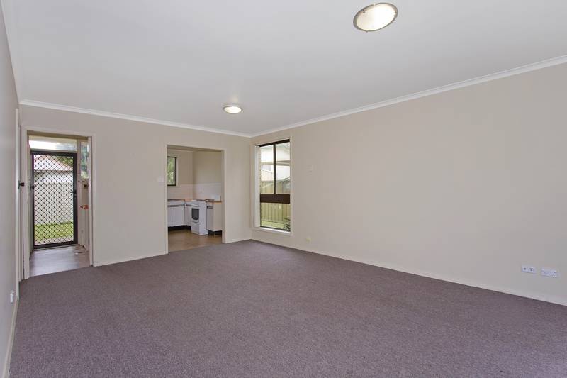 CLOSE TO EVERYTHING Picture 3