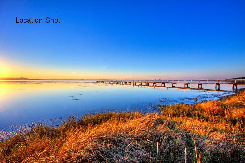 LAST OPPORTUNITY Picture 3