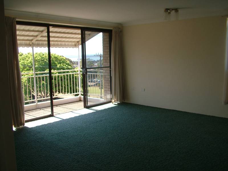 CLOSE TO EVERYTHING Picture 2