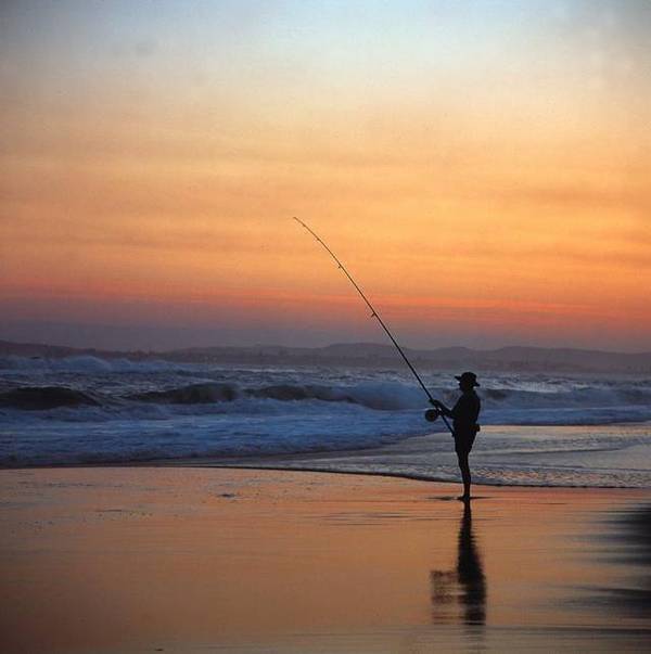 Watermark Apartments Picture 2