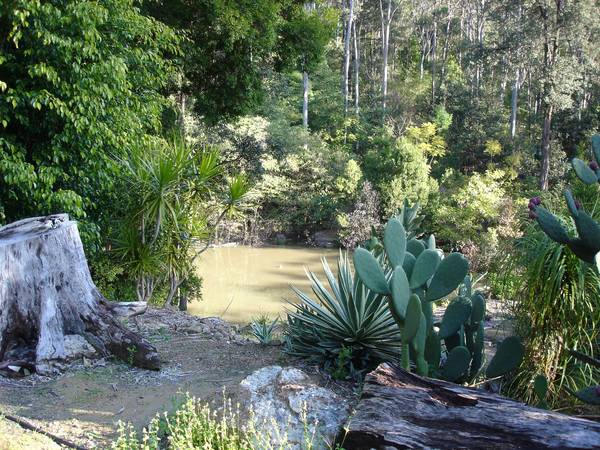 Magical Private Paradise -5 Acres in the City Picture 1